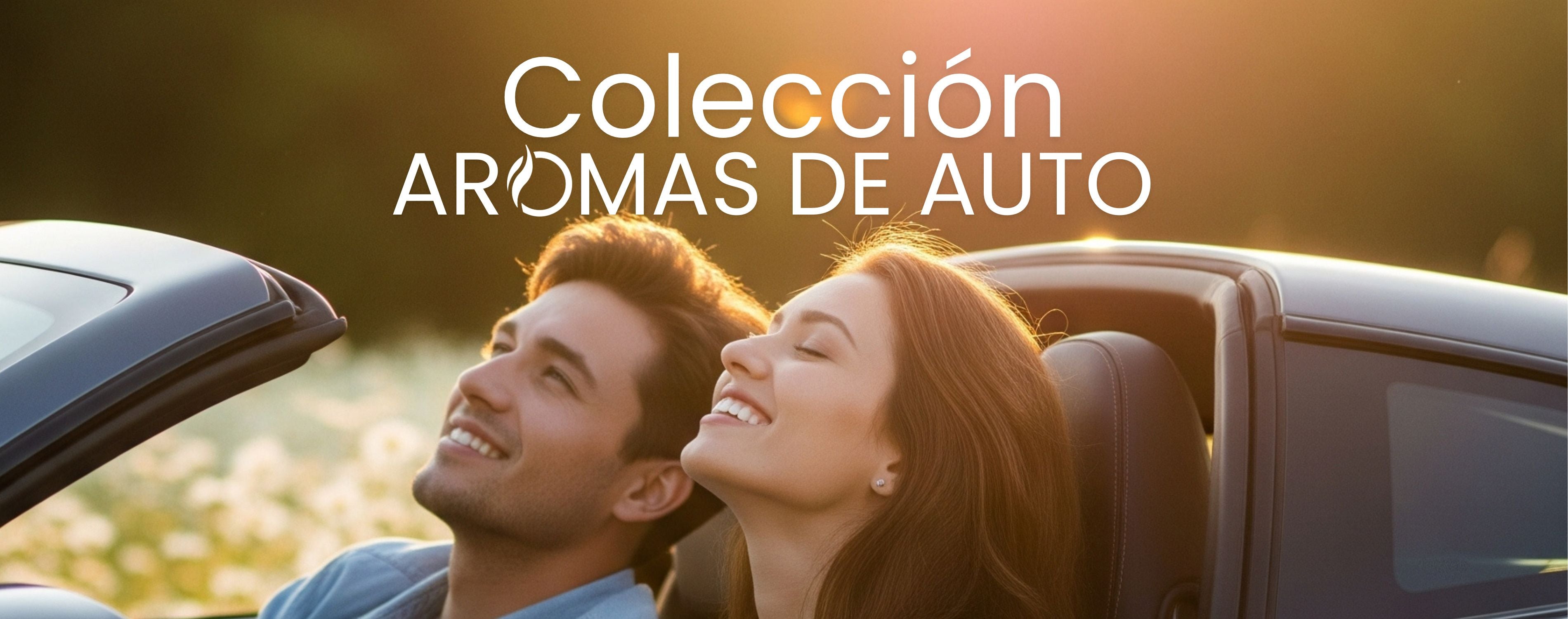 Car scent collection