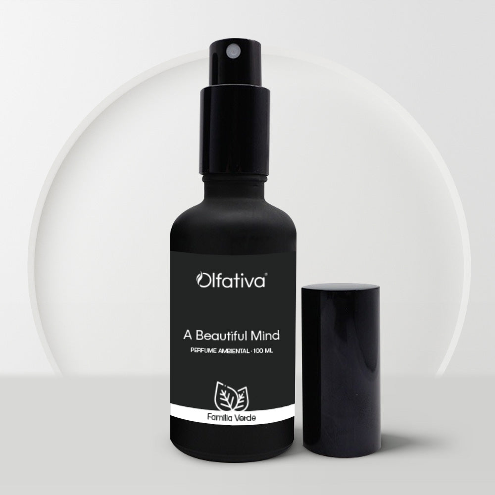 A Beautiful Mind Fragrance - Indoor Mist