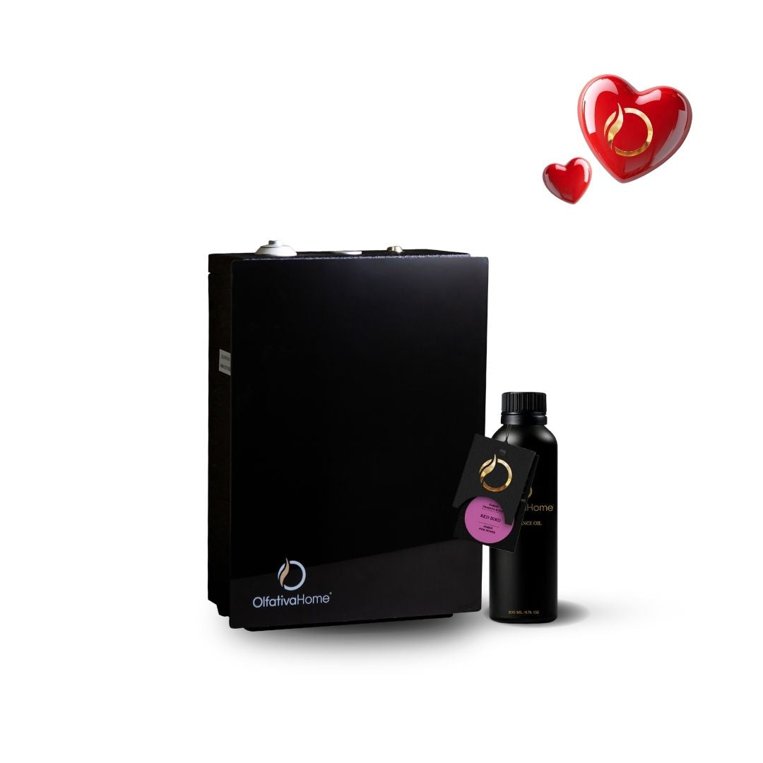 Montblanc XL Diffuser with Aroma Subscription + 200 ml FREE