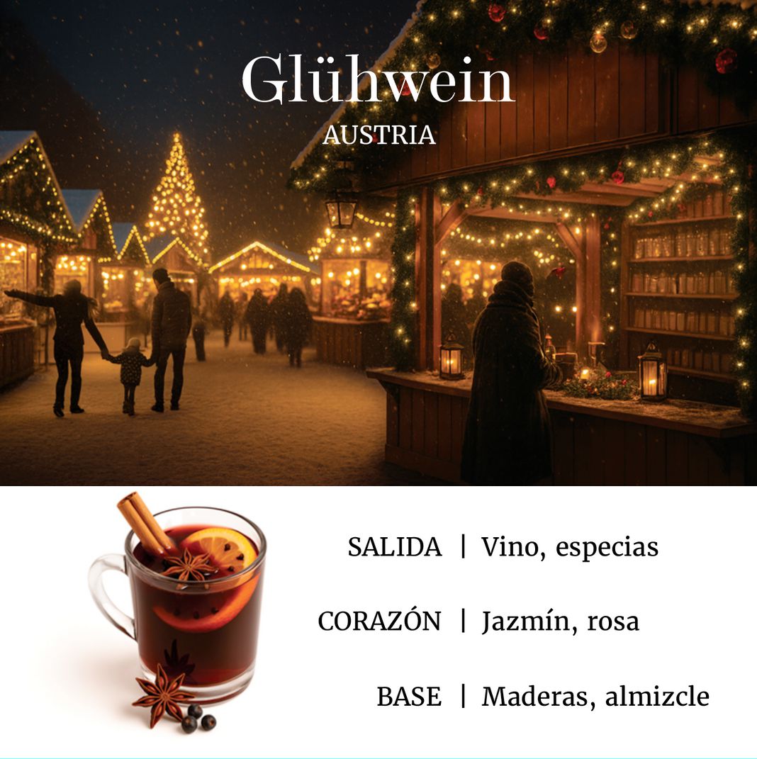 XMA'S DELIVERY SET (Enzo Diffuser + 2 Aromas 10ml + Indoor Mist Christmas)