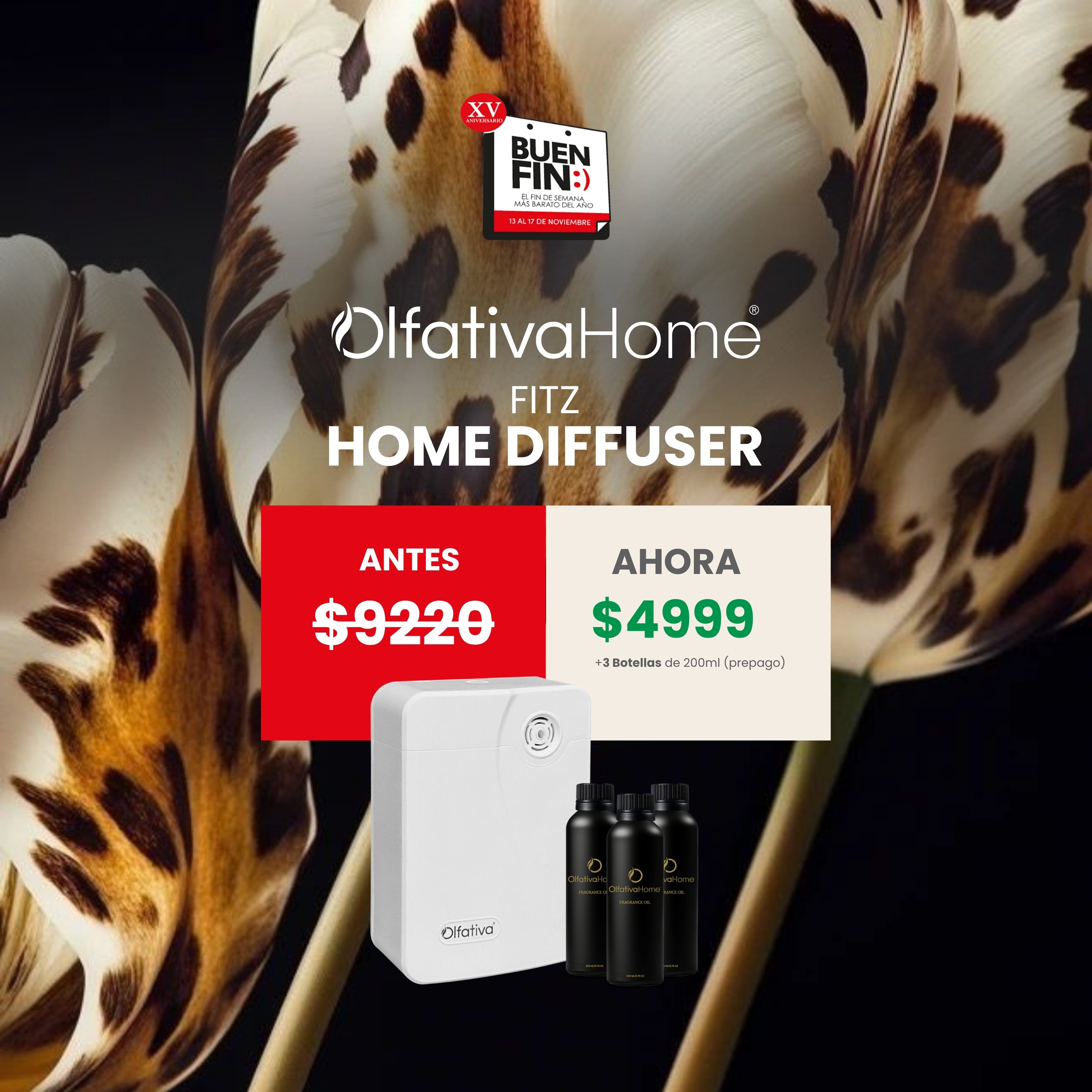 SET Diffuser Fitz FREE when purchasing Refill Plan (3 scents of 200 ml).