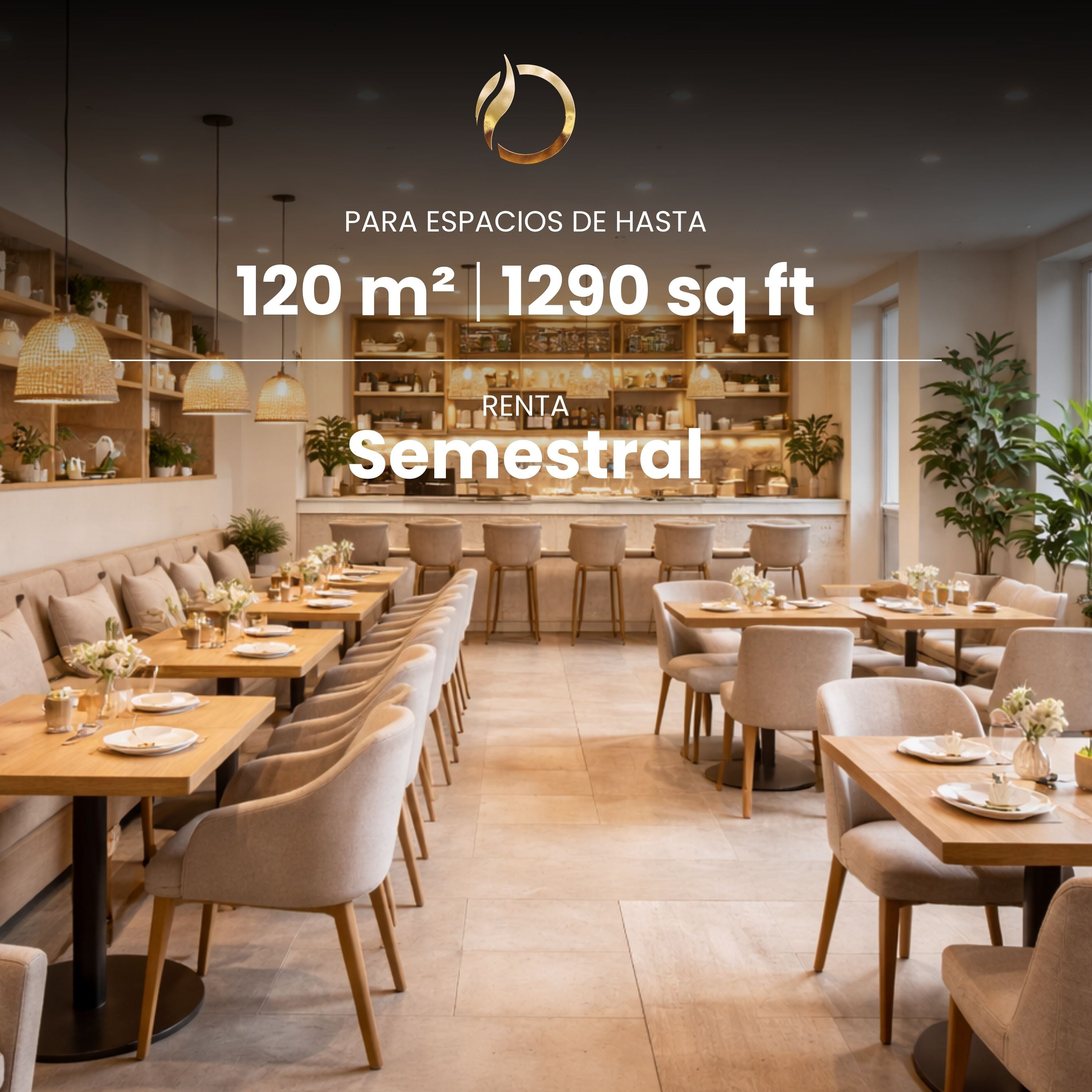 Six-monthly aromatization service for spaces up to 120 m2