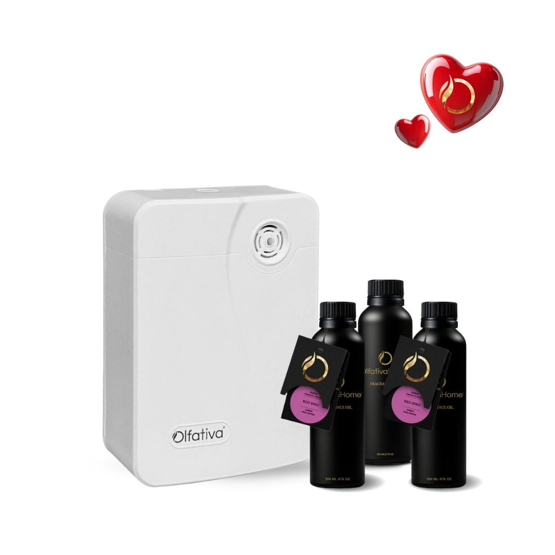 SET Diffuser Fitz FREE when purchasing Refill Plan (3 scents of 200 ml)