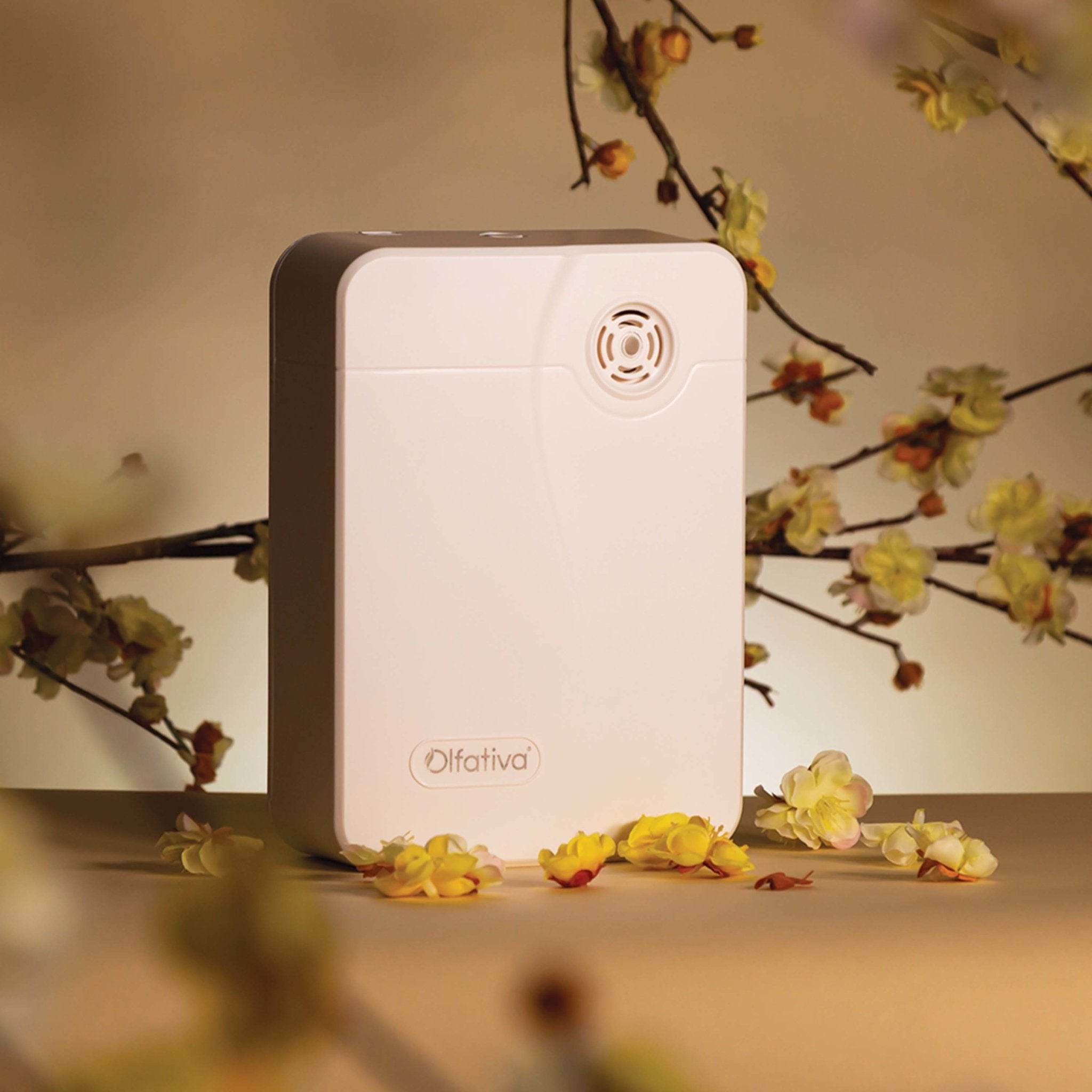 Fitz Diffuser with Aroma Subscription + 100 ml FREE (C)