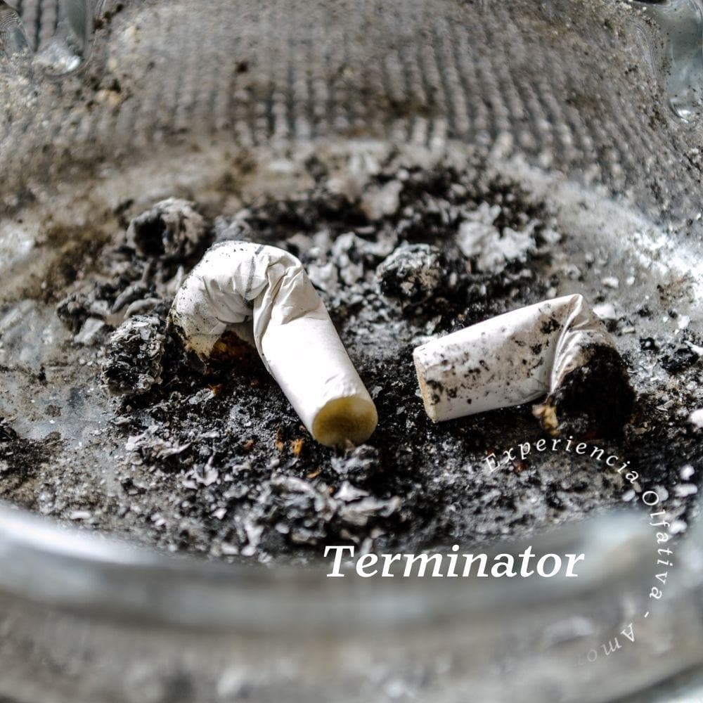Terminator Car Fragrance (Odor Control)