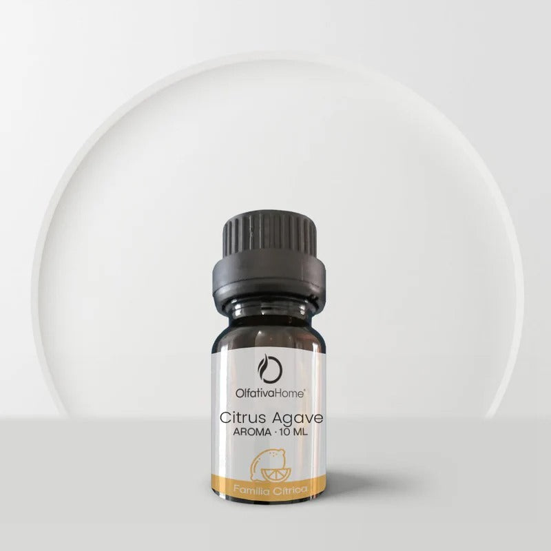 Citrus Agave Car Air Freshener (Traditions · Authenticity)