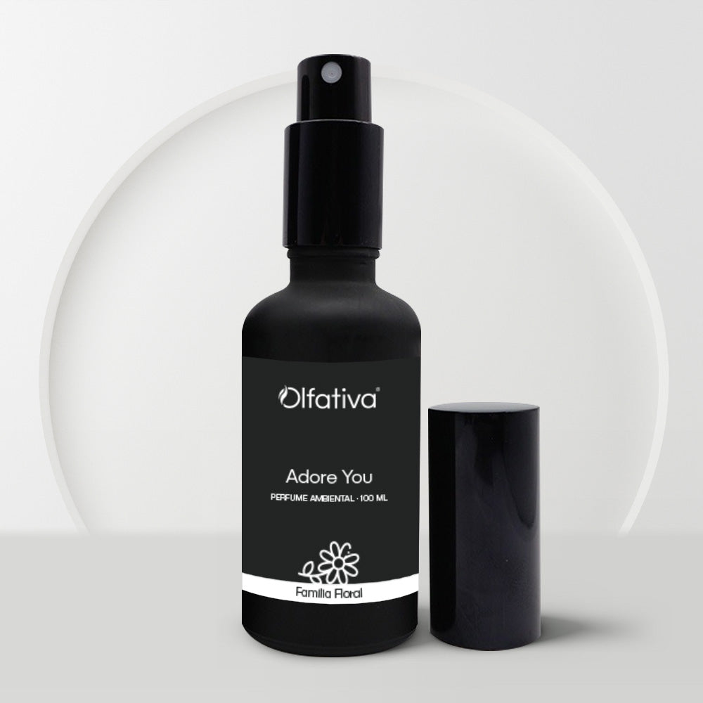 Adore You Fragrance - Indoor Mist