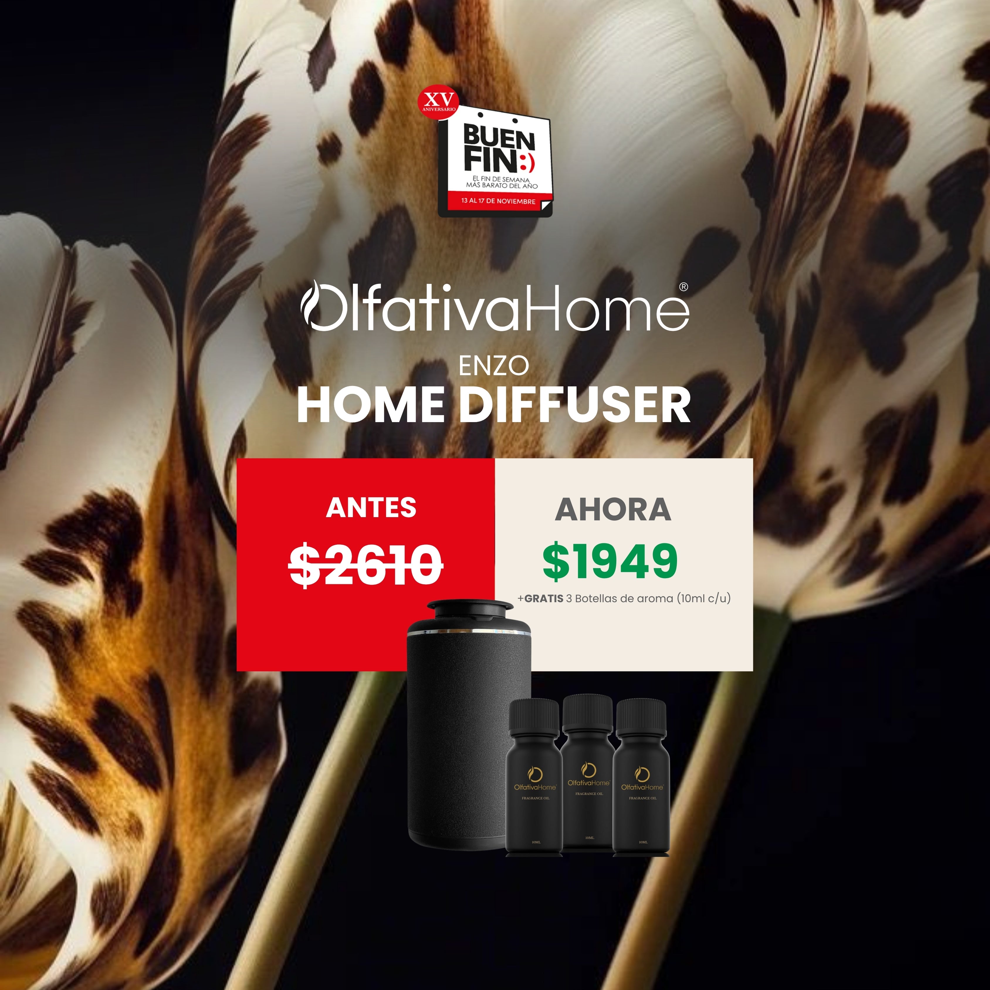 SET: 3 Aromas of 10 ml of gift with the purchase of your Enzo auto diffuser.