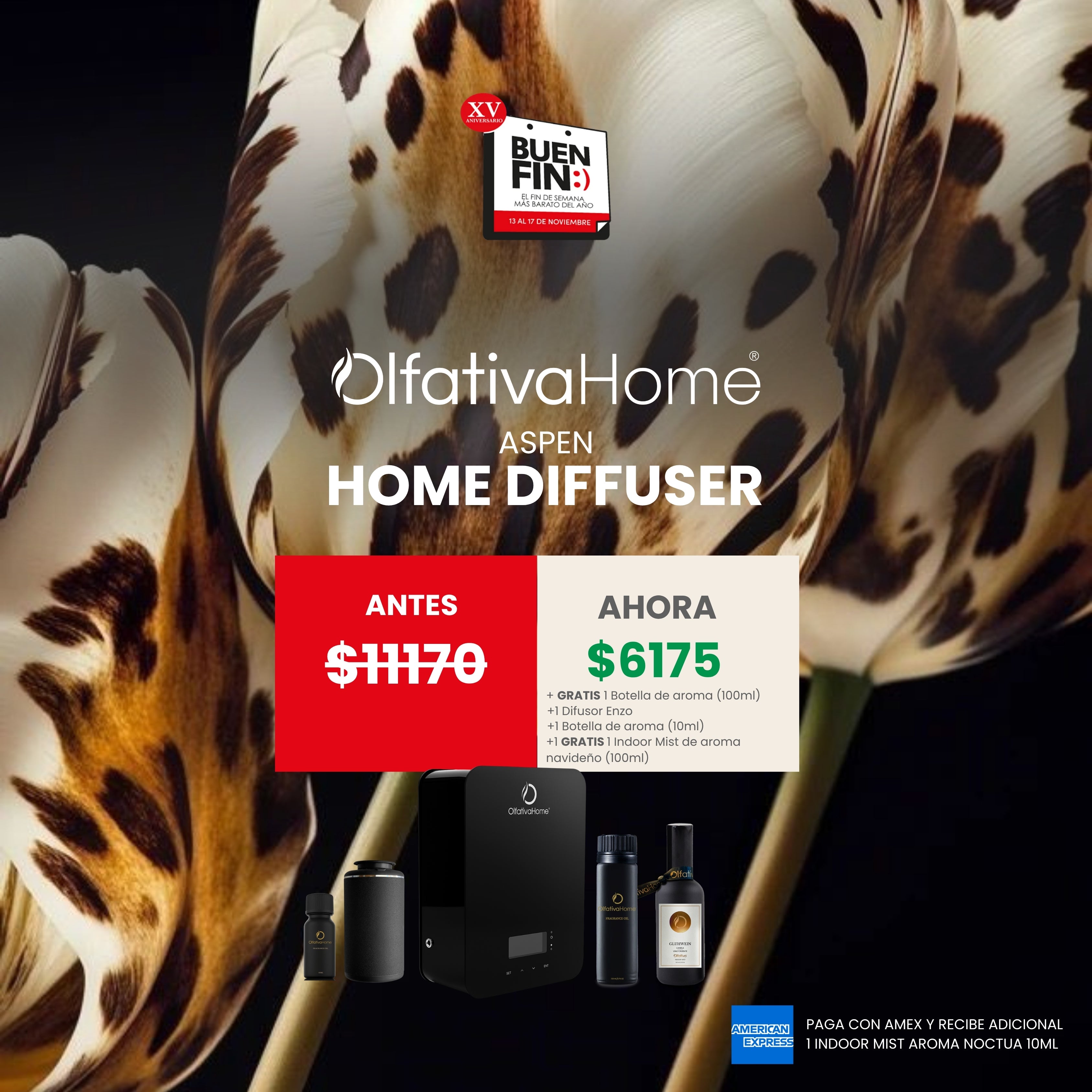 SET Aspen Diffuser with Aroma Subscription. Receive FREE: one 100 ml Aroma + one Enzo Auto Diffuser + one 10 ml Aroma + one 100 ml Christmas Indoor Mist.