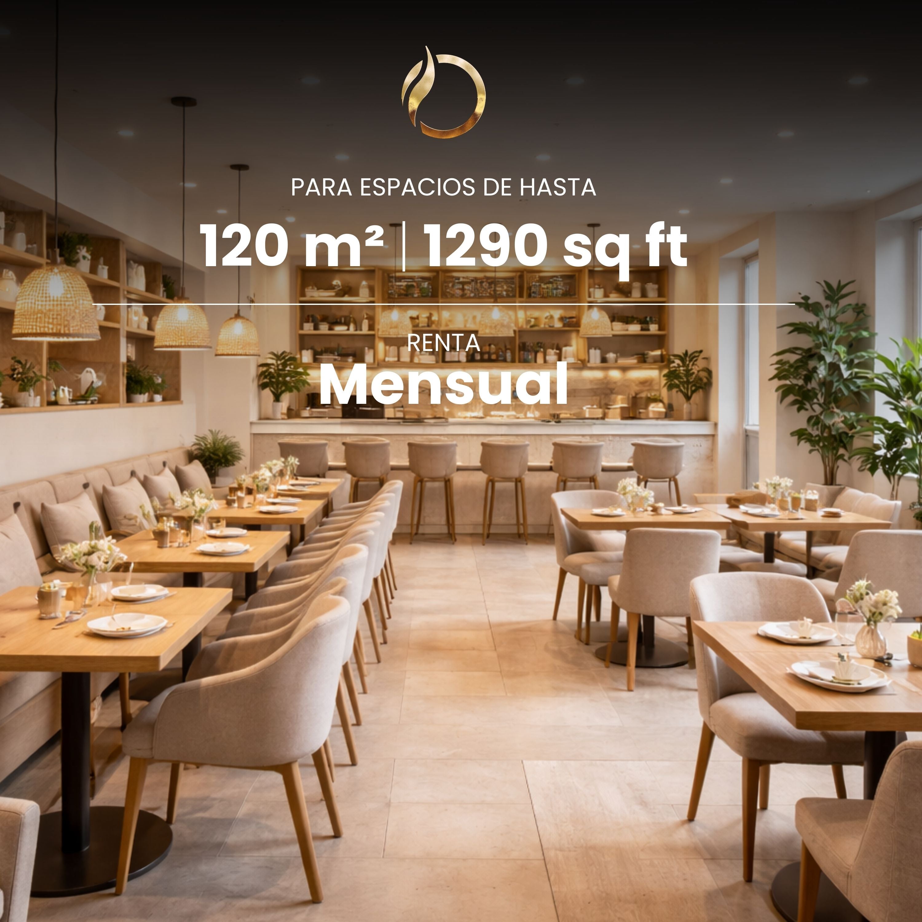 Aromatization service for spaces up to 120 m2