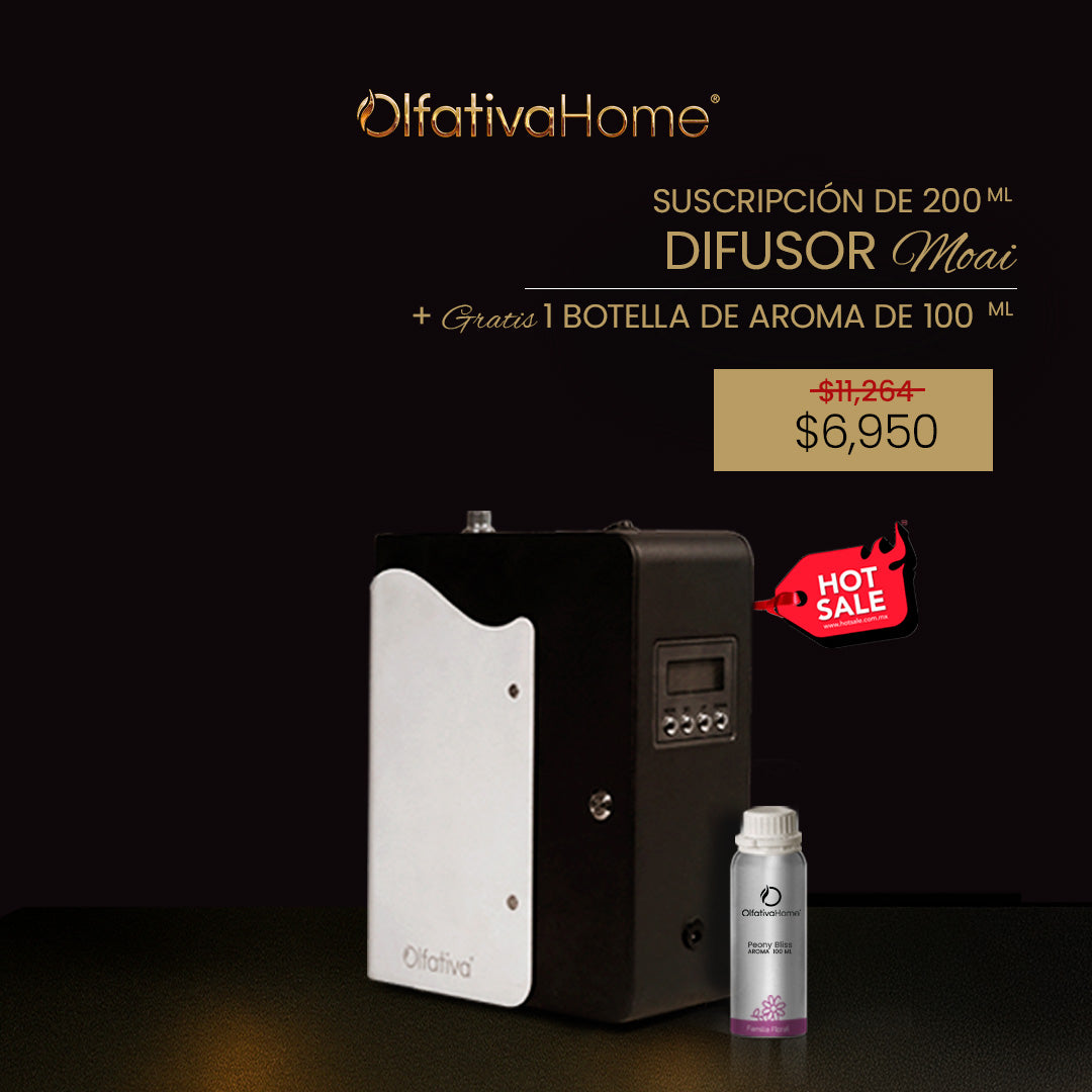 Moai Diffuser with Aroma Subscription + 100 ml FREE