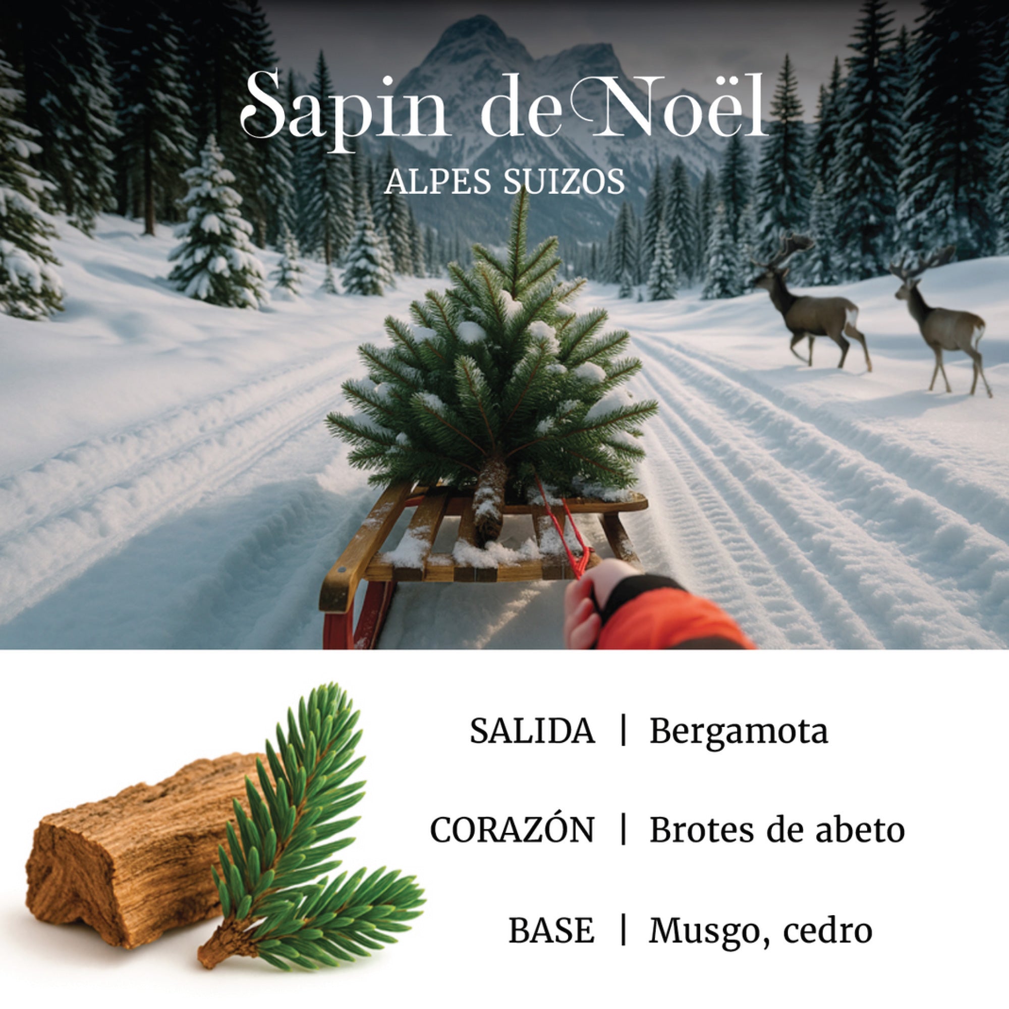 Aroma 100 ml Sapin de Noël Free with Diffuser with Subscription