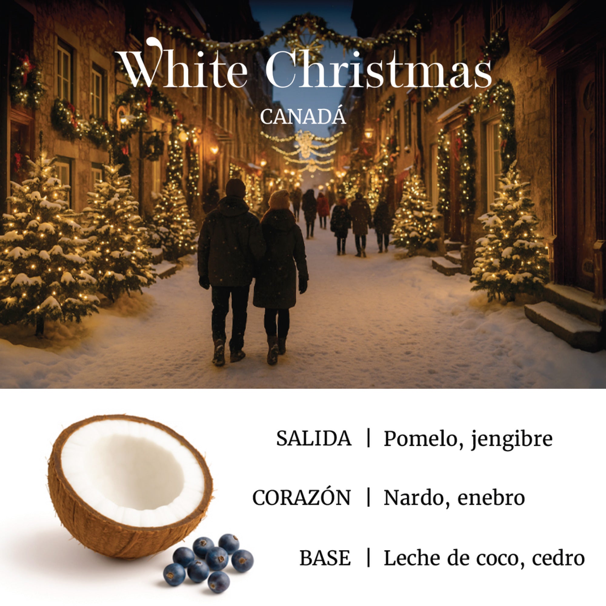 Aroma 100 ml White Christmas Free with Diffuser with Subscription