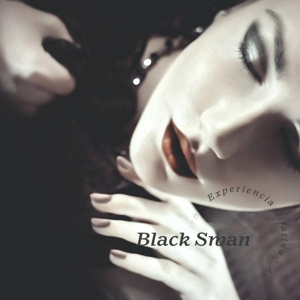 Black Swan (Black Orchid, Magnolia) Auto Fragrance - Olfativa Home Aroma