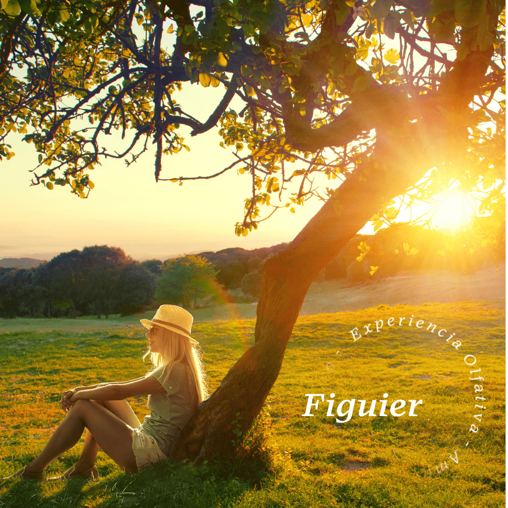 Figuier Car Fragrance (Fig, Galbanum) - Olfativa Home Aroma