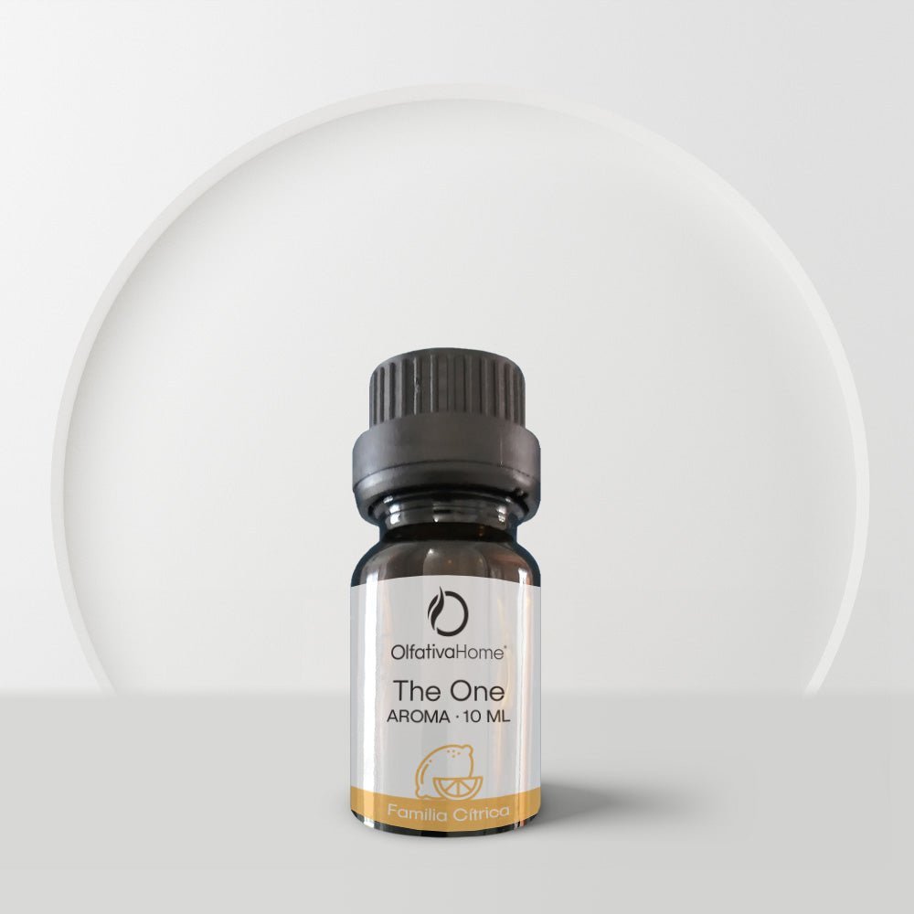 The One Car Fragrance (Grapefruit, Rosemary, Rosewood) - Olfativa Home