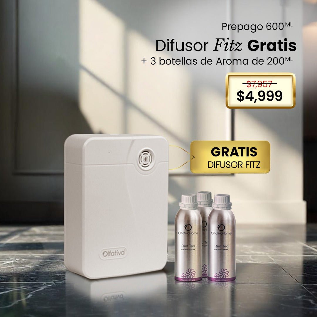 Free Fitz Diffuser with prepaid 3 scents BF24 - Olfativa Home