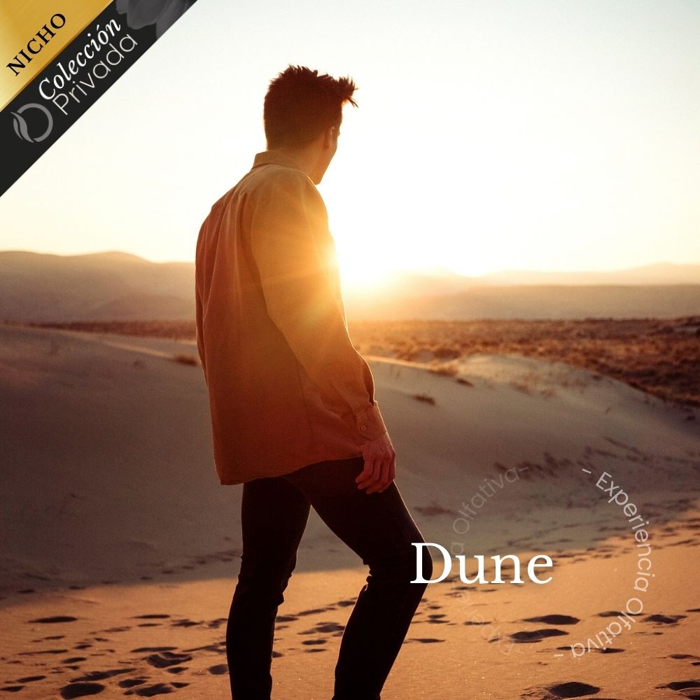 Dune Car Air Freshener (Oud Wood and Incense)