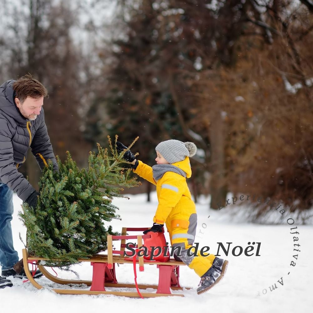 Sapin de Noel aroma