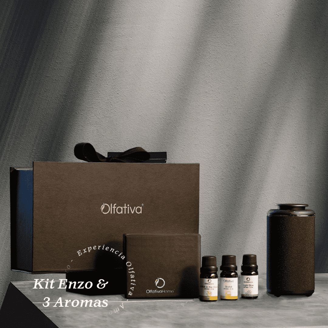 Enzo Diffuser Kit & 3 fragrances of 10 ml