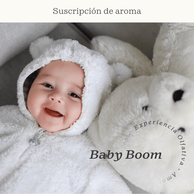Baby Boom Subscription (Baby powder) - Olfativa Home Subscription