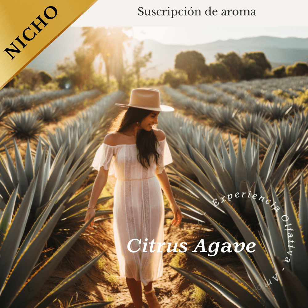 Subscription Citrus Agave (Lemon - Agave) - Olfativa Home Subscription