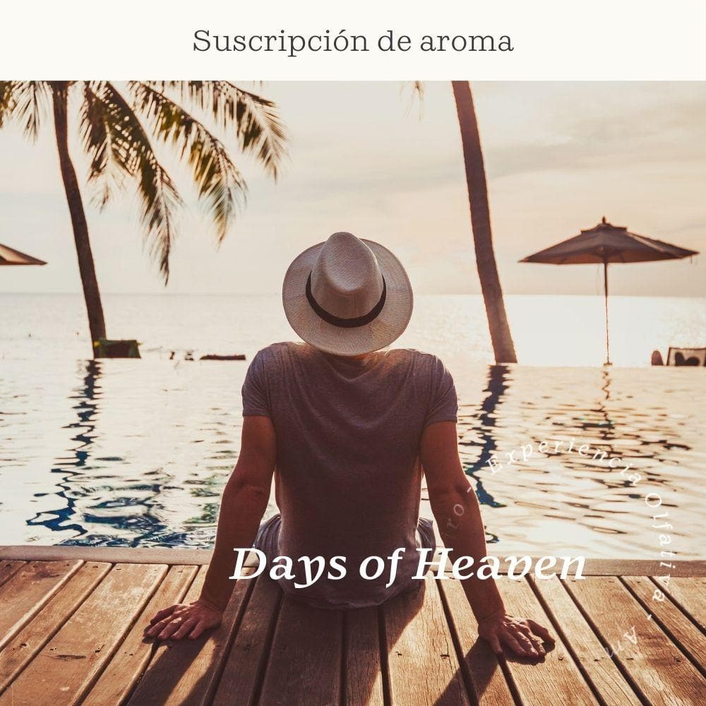 Days of Heaven Subscription (White Tea and Aloe)