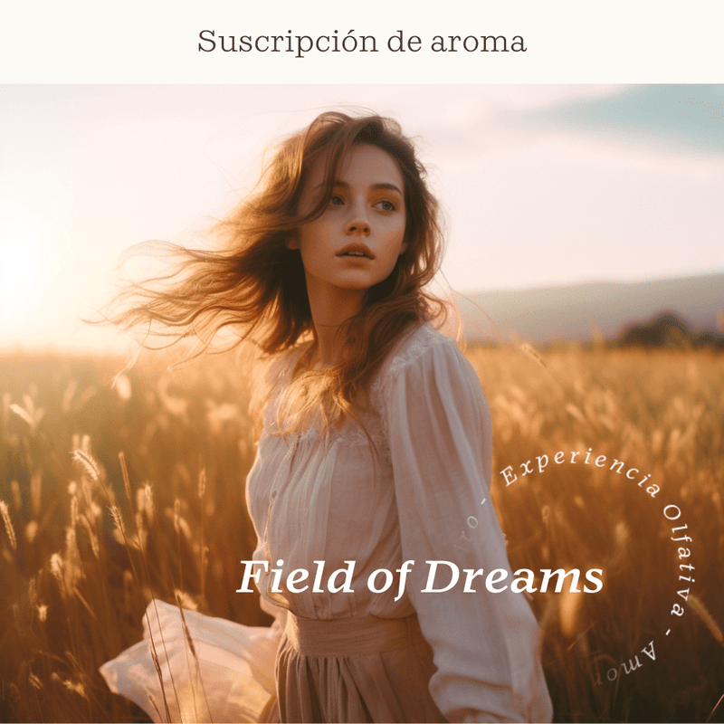 Field of Dreams Subscription - Olfativa Home Subscription