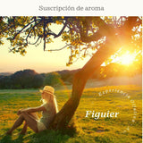 Subscription Figuier (Fig, Galbanum) - Olfativa Home Subscription