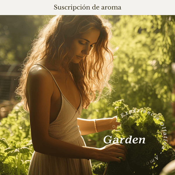 Garden Subscription (Bergamot - Lotus flower) - Olfativa Home Subscription