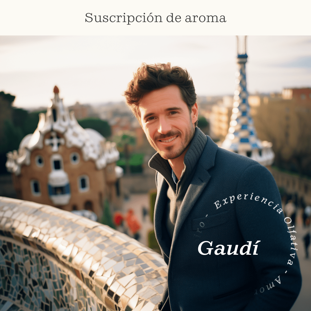 Gaudi Subscription (Thyme, Citrus, Sandalwood) - Olfativa Home Subscription