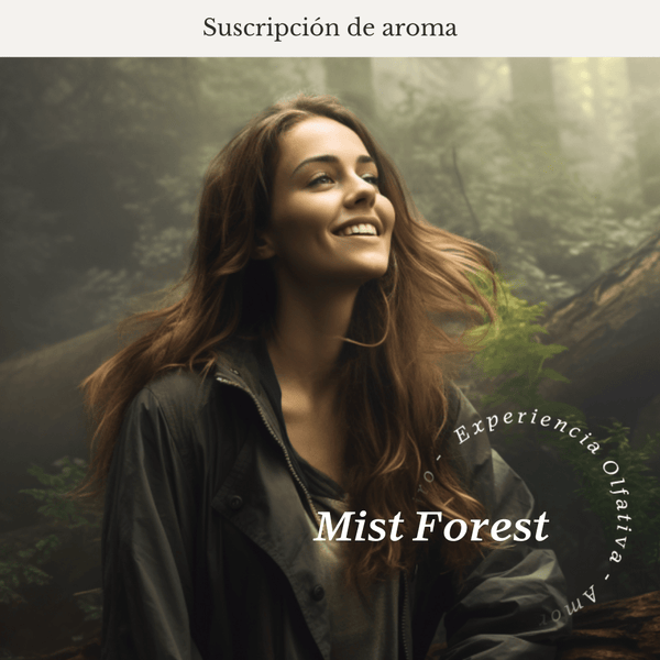 Mist Forest Subscription (Black Tea - Bergamot) - Olfativa Home Subscription