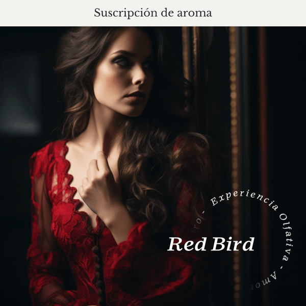 Red Bird Subscription (Amber - Pink Pepper) - Olfativa Home Subscription