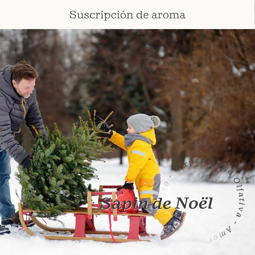 Sapin de Noël subscription